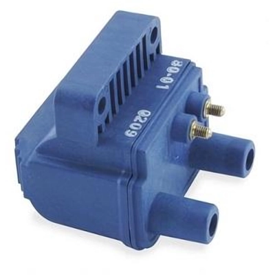 Trunk Or Hatch Switch by BLUE STREAK (HYGRADE MOTOR) - CBS1461 gen/BLUE STREAK (HYGRADE MOTOR)/Trunk Or Hatch Switch/Trunk Or Hatch Switch_01